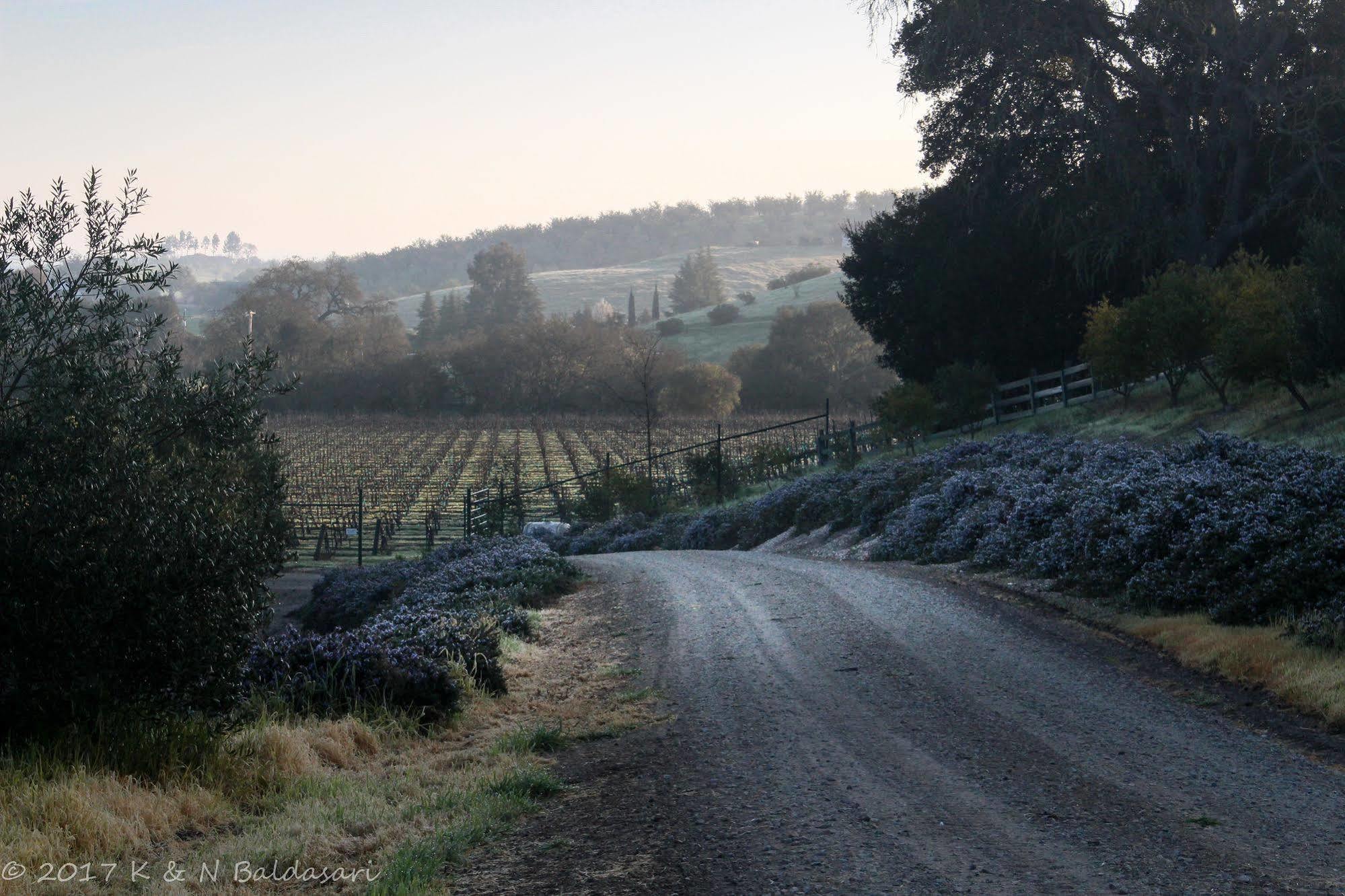 The Eden House Vineyard Hotel Templeton Bagian luar foto