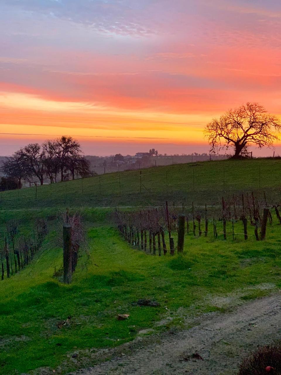 The Eden House Vineyard Hotel Templeton Bagian luar foto